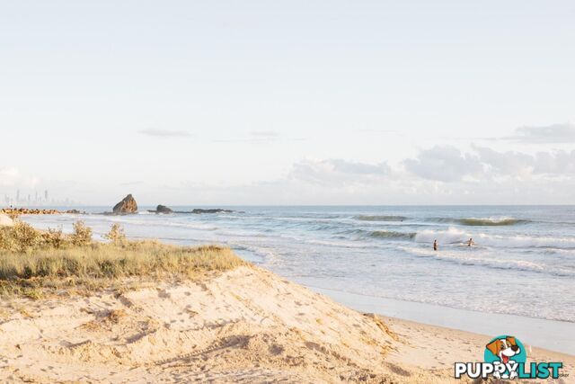 4/738 Pacific Parade CURRUMBIN QLD 4223
