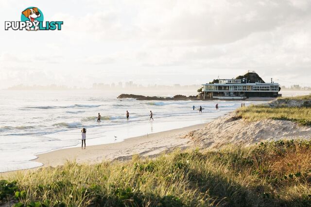 4/738 Pacific Parade CURRUMBIN QLD 4223