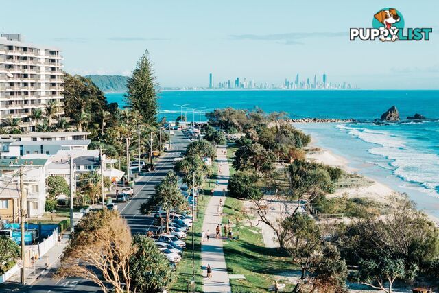 4/738 Pacific Parade CURRUMBIN QLD 4223