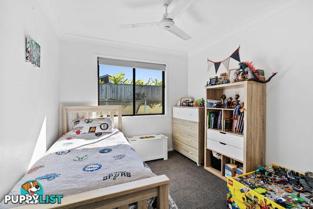33 Talganda Terrace MURWILLUMBAH NSW 2484