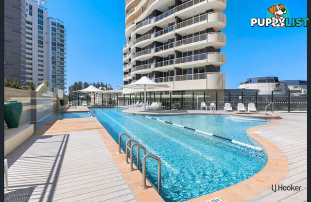 843/6-8 Stuart Street TWEED HEADS NSW 2485