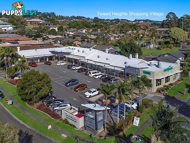 15 Kiora Street BANORA POINT NSW 2486