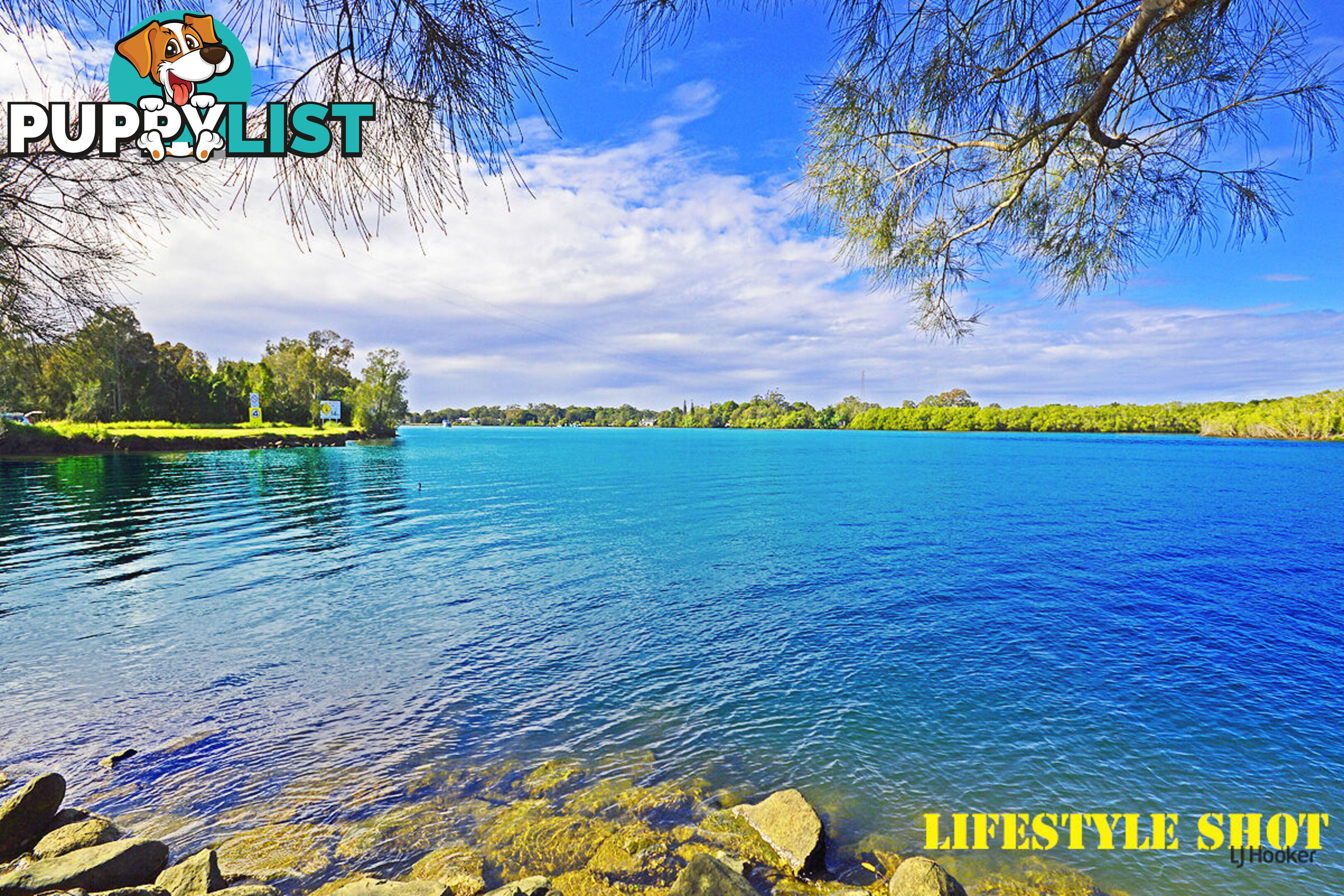 15 Kiora Street BANORA POINT NSW 2486