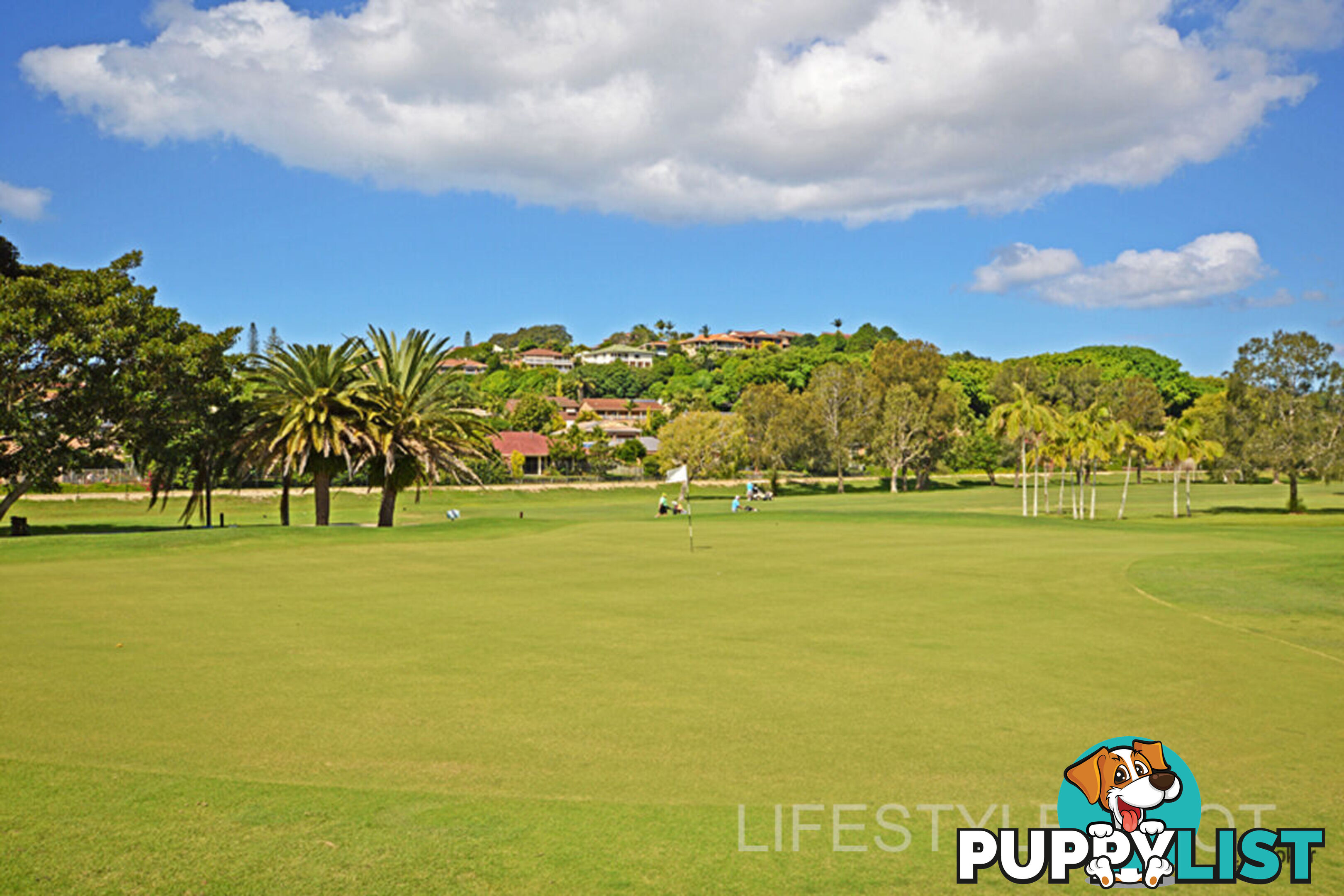 15 Kiora Street BANORA POINT NSW 2486