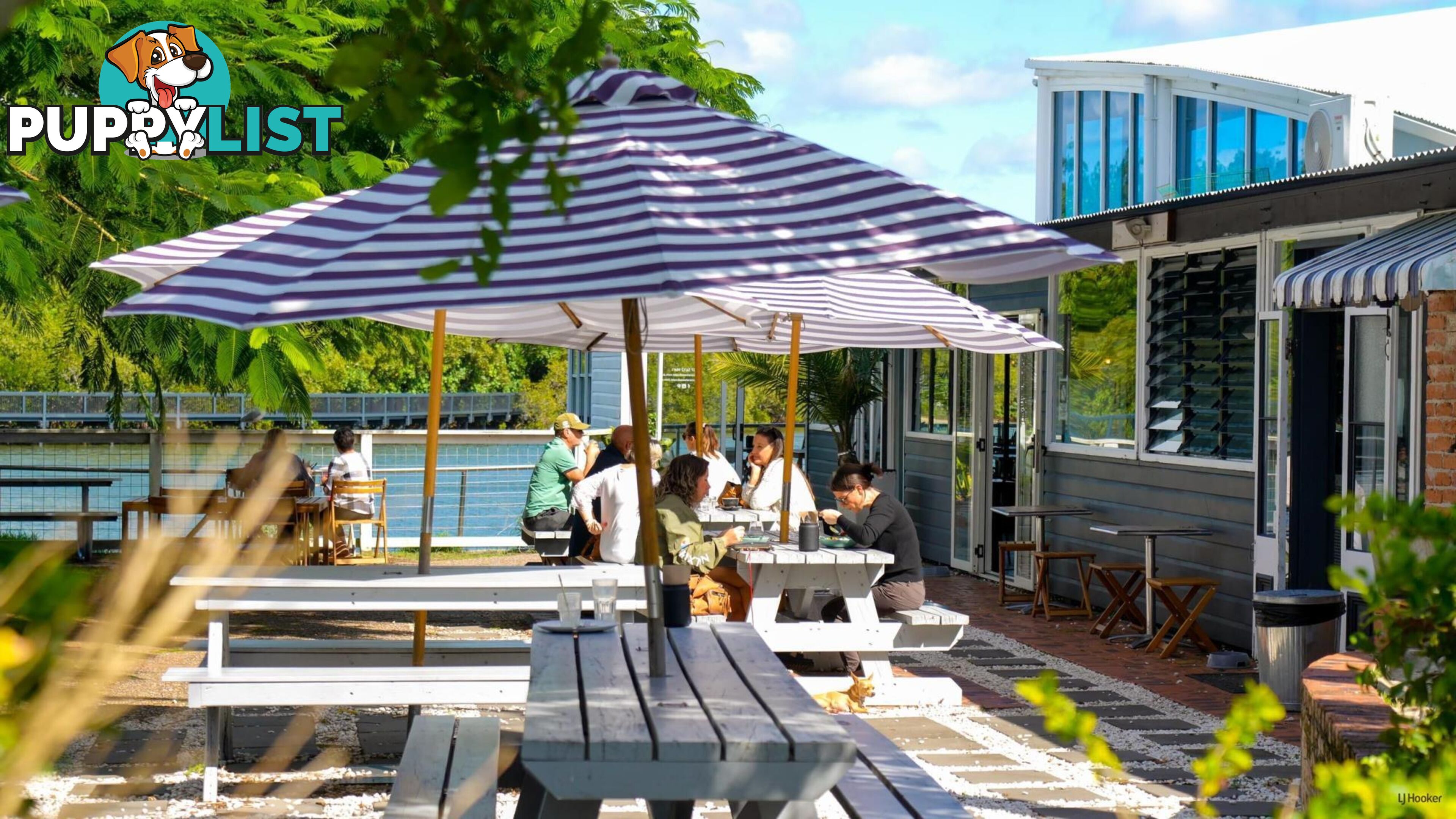 41 Boyd Street TWEED HEADS NSW 2485