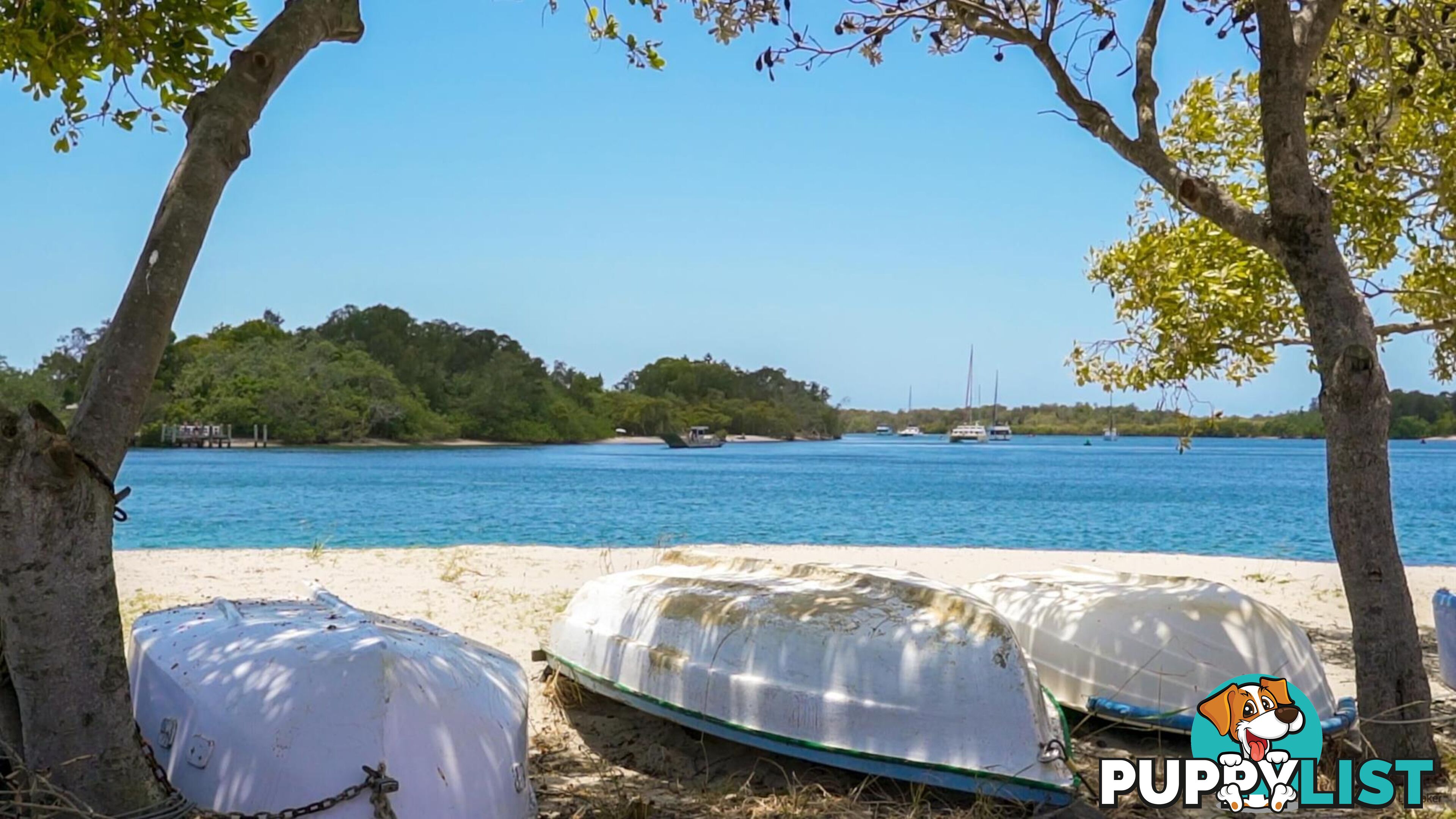 41 Boyd Street TWEED HEADS NSW 2485