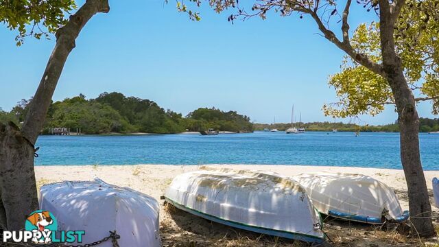 41 Boyd Street TWEED HEADS NSW 2485