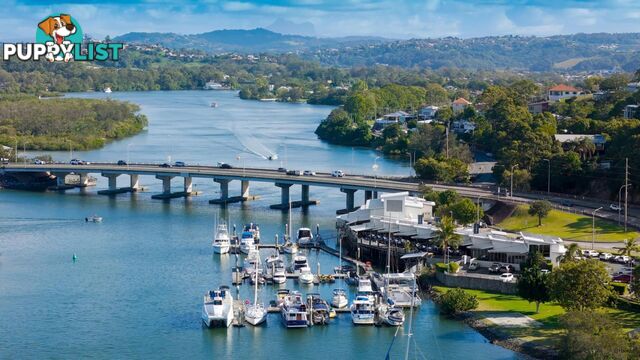 41 Boyd Street TWEED HEADS NSW 2485
