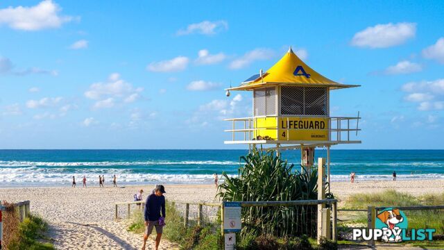 41 Boyd Street TWEED HEADS NSW 2485