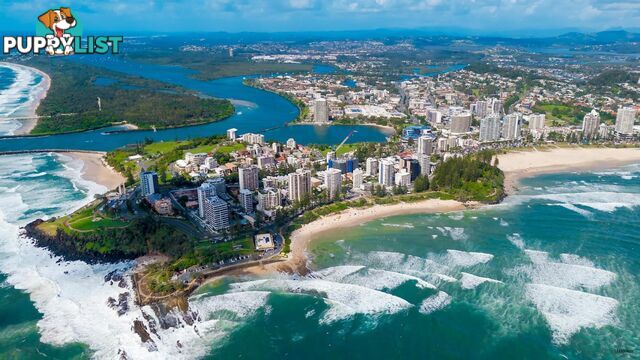 41 Boyd Street TWEED HEADS NSW 2485
