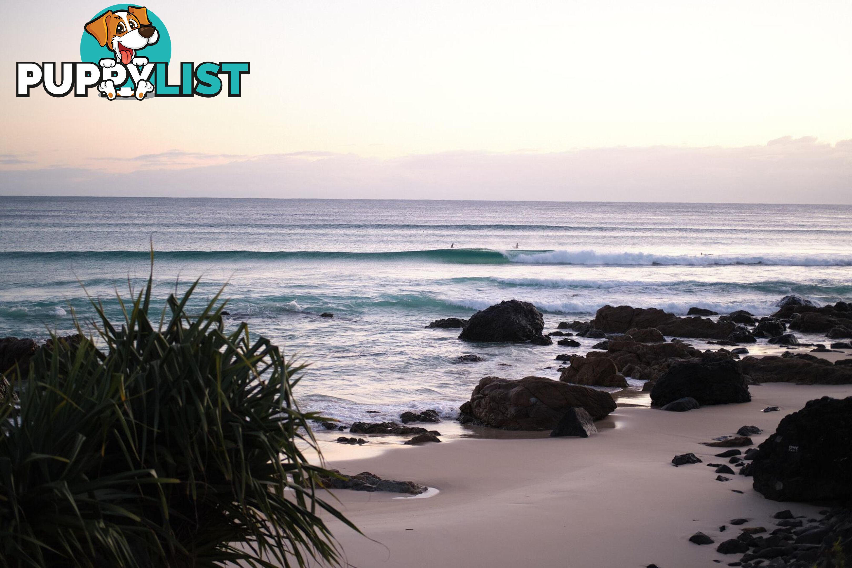 COOLANGATTA QLD 4225