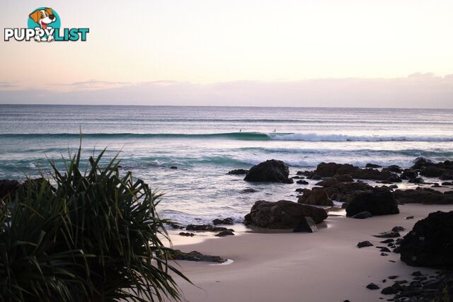 COOLANGATTA QLD 4225