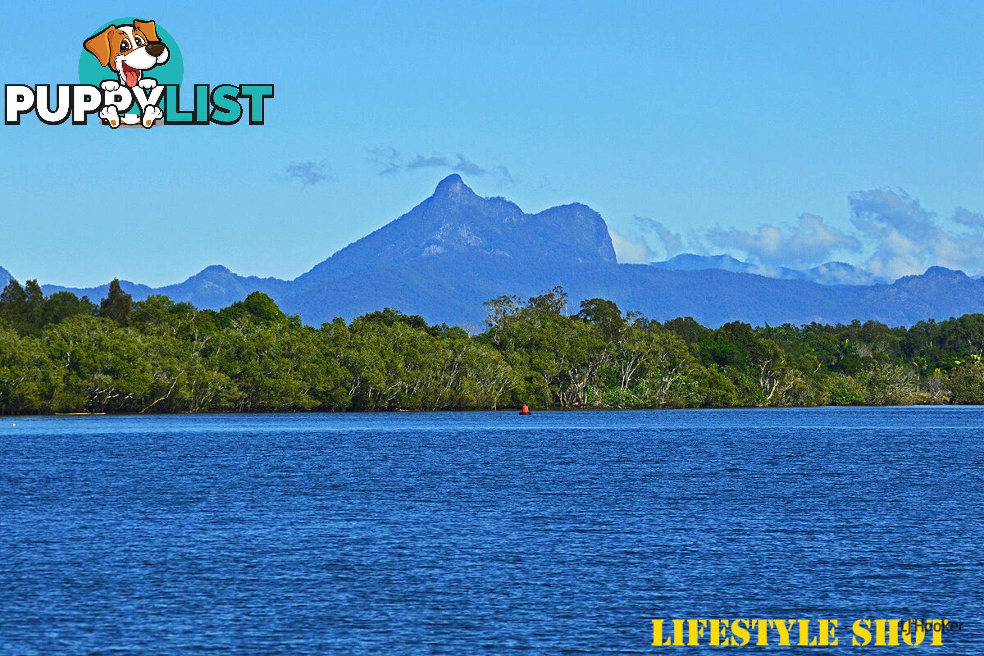 35 Kildare Drive BANORA POINT NSW 2486