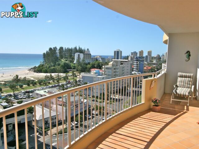 805/2 Stuart Street TWEED HEADS NSW 2485