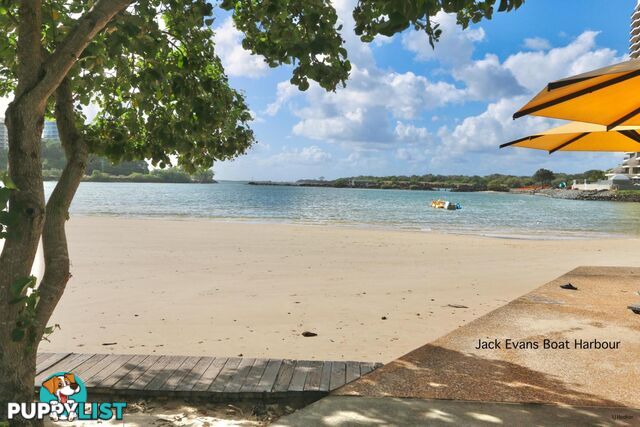 302/37 Bay Street TWEED HEADS NSW 2485