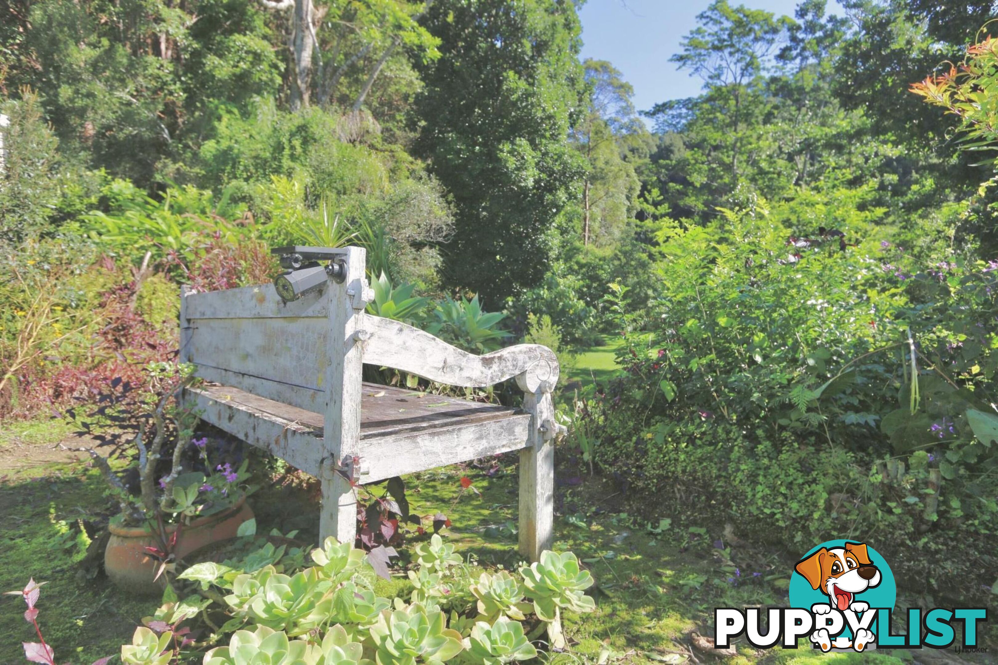 474 Urliup Road URLIUP NSW 2484