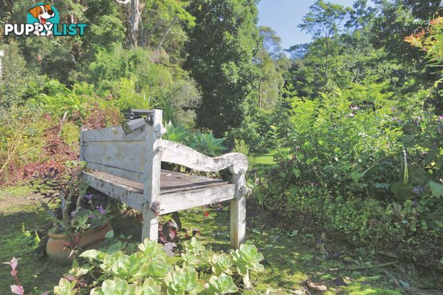 474 Urliup Road URLIUP NSW 2484