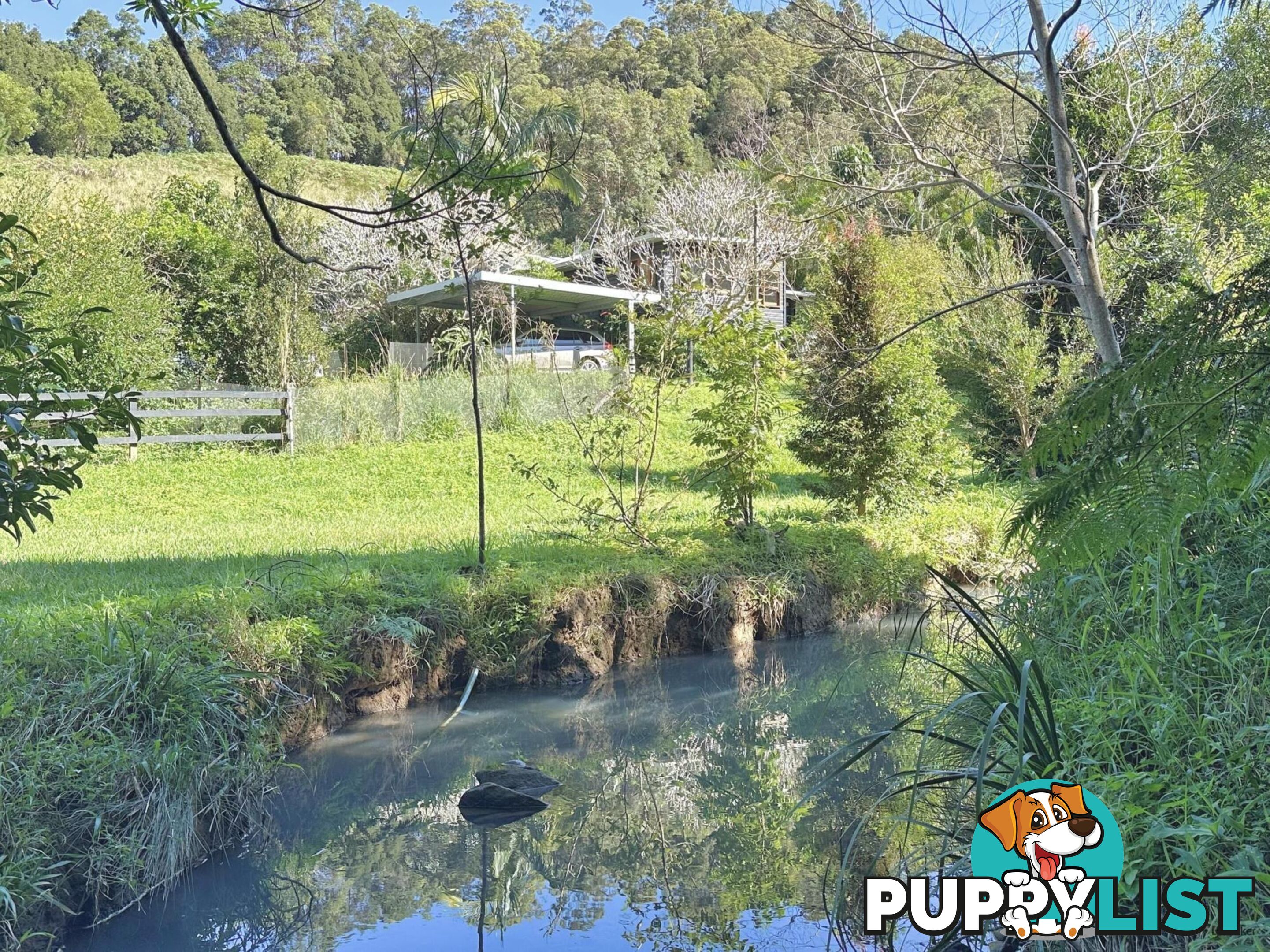 474 Urliup Road URLIUP NSW 2484