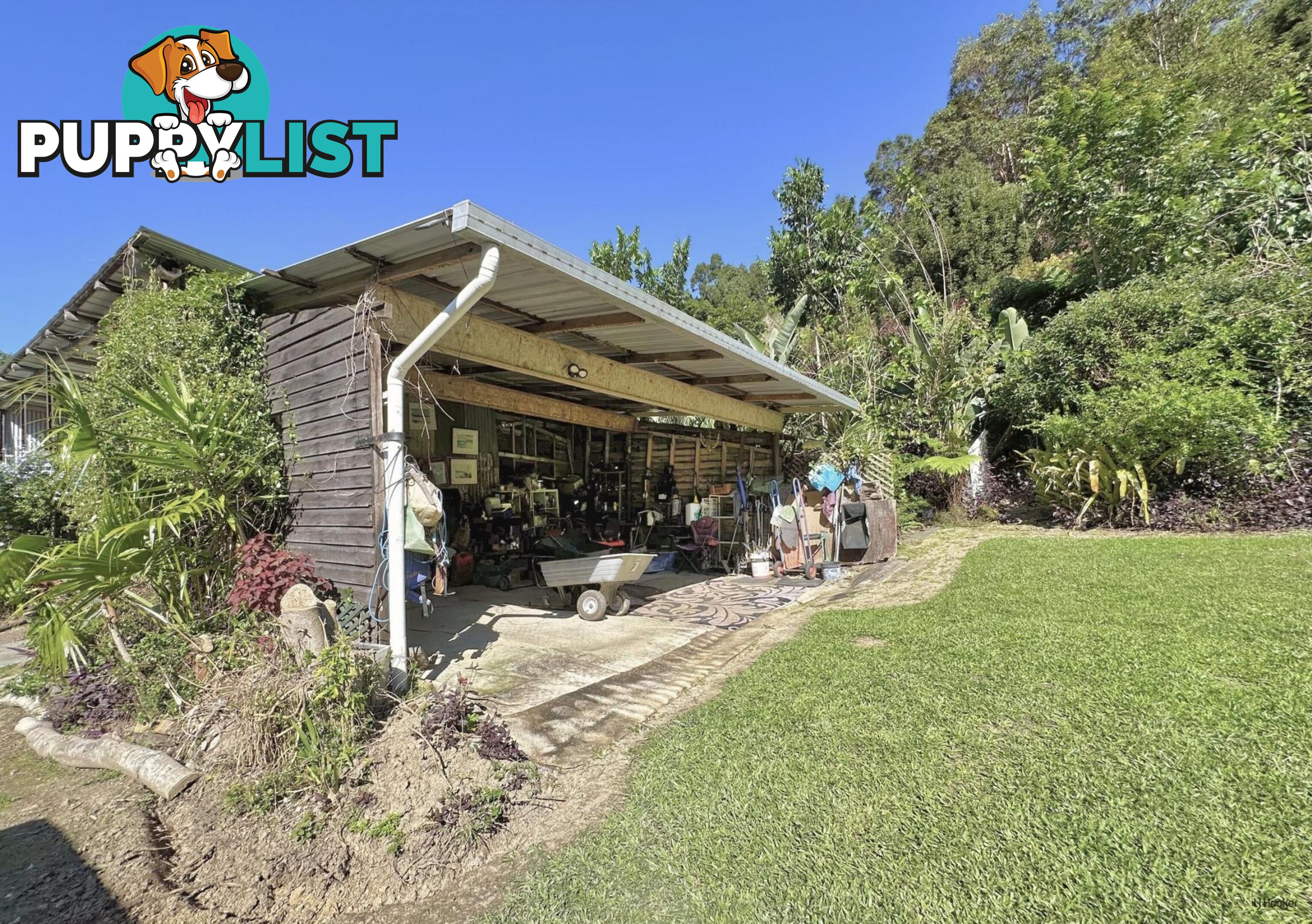 474 Urliup Road URLIUP NSW 2484