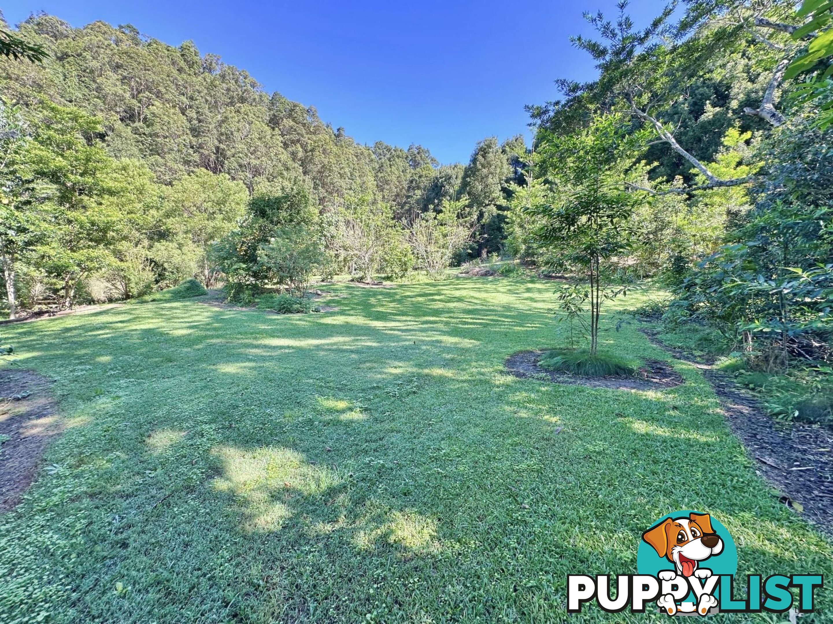 474 Urliup Road URLIUP NSW 2484