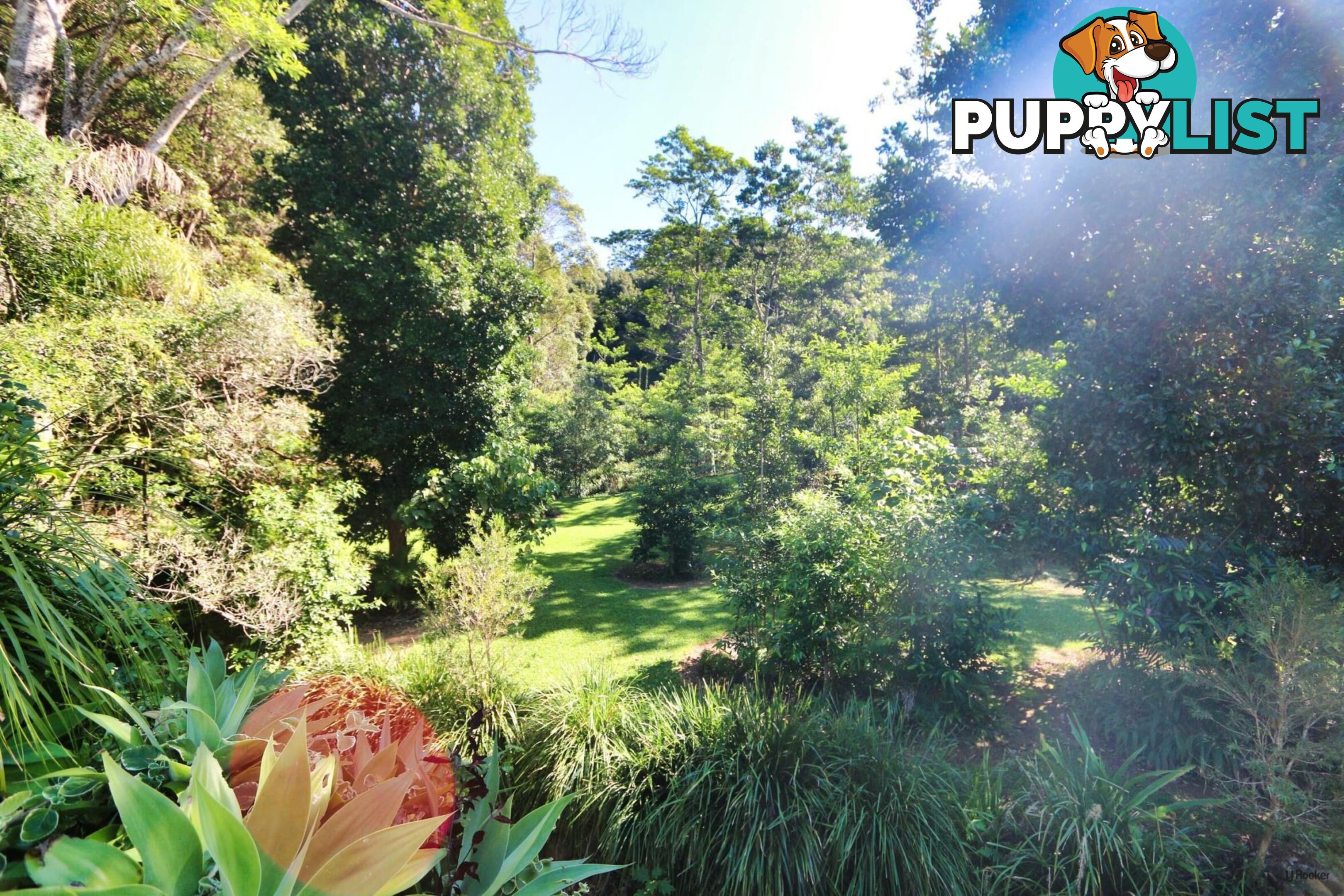 474 Urliup Road URLIUP NSW 2484