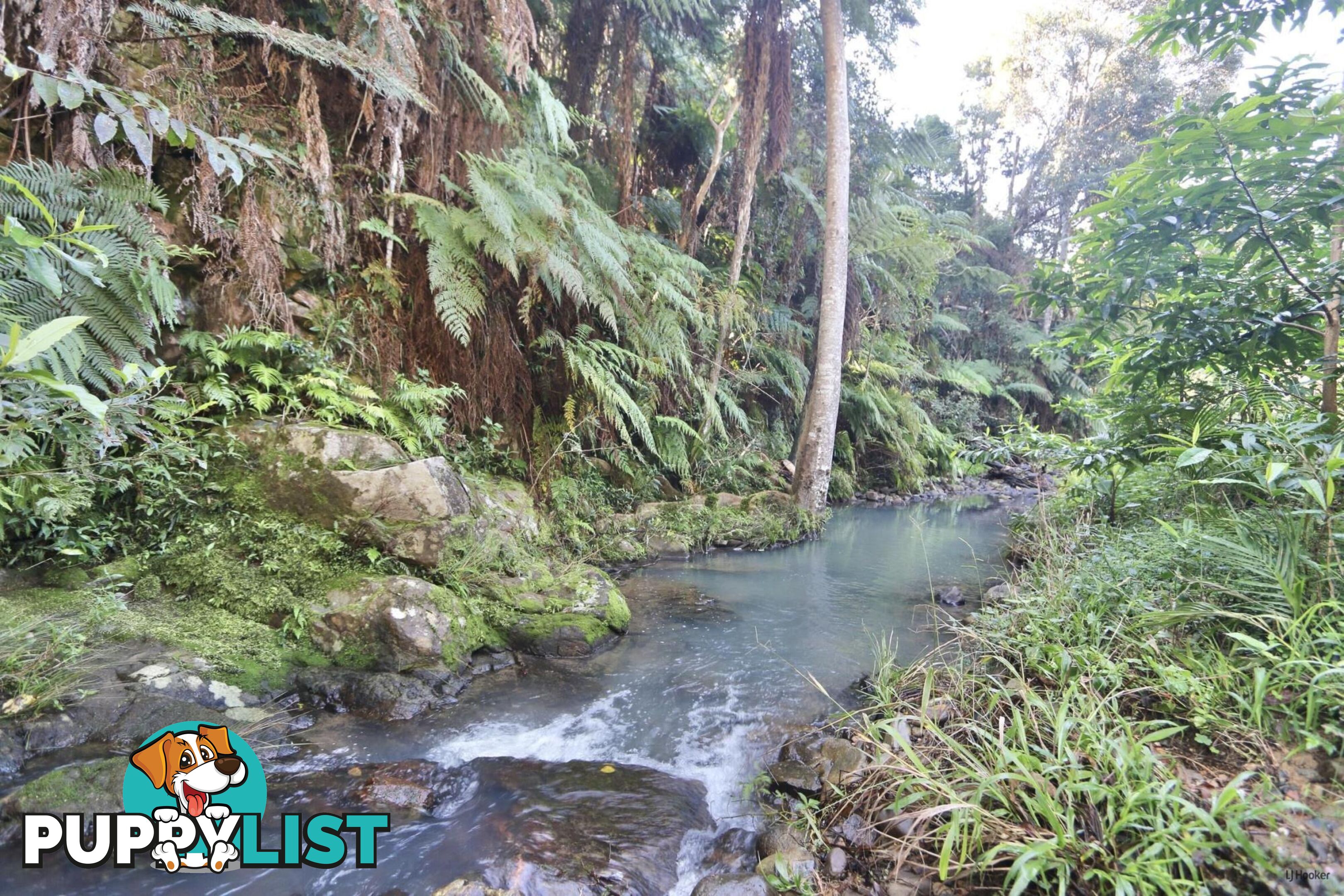 474 Urliup Road URLIUP NSW 2484