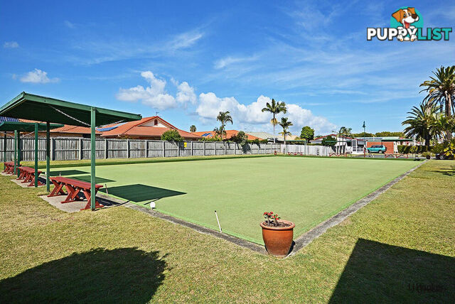 160/67 Winders Place BANORA POINT NSW 2486