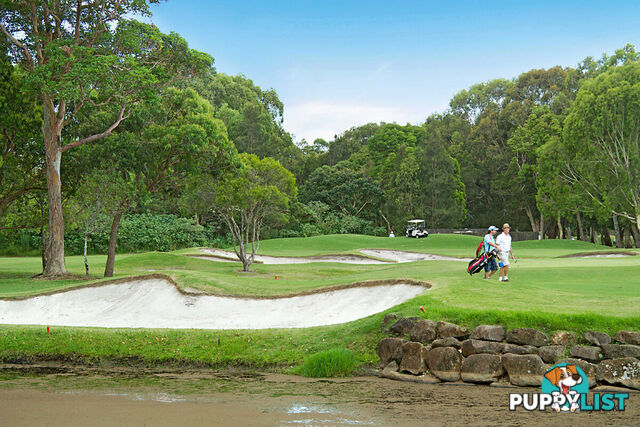 14 Water Street TWEED HEADS SOUTH NSW 2486