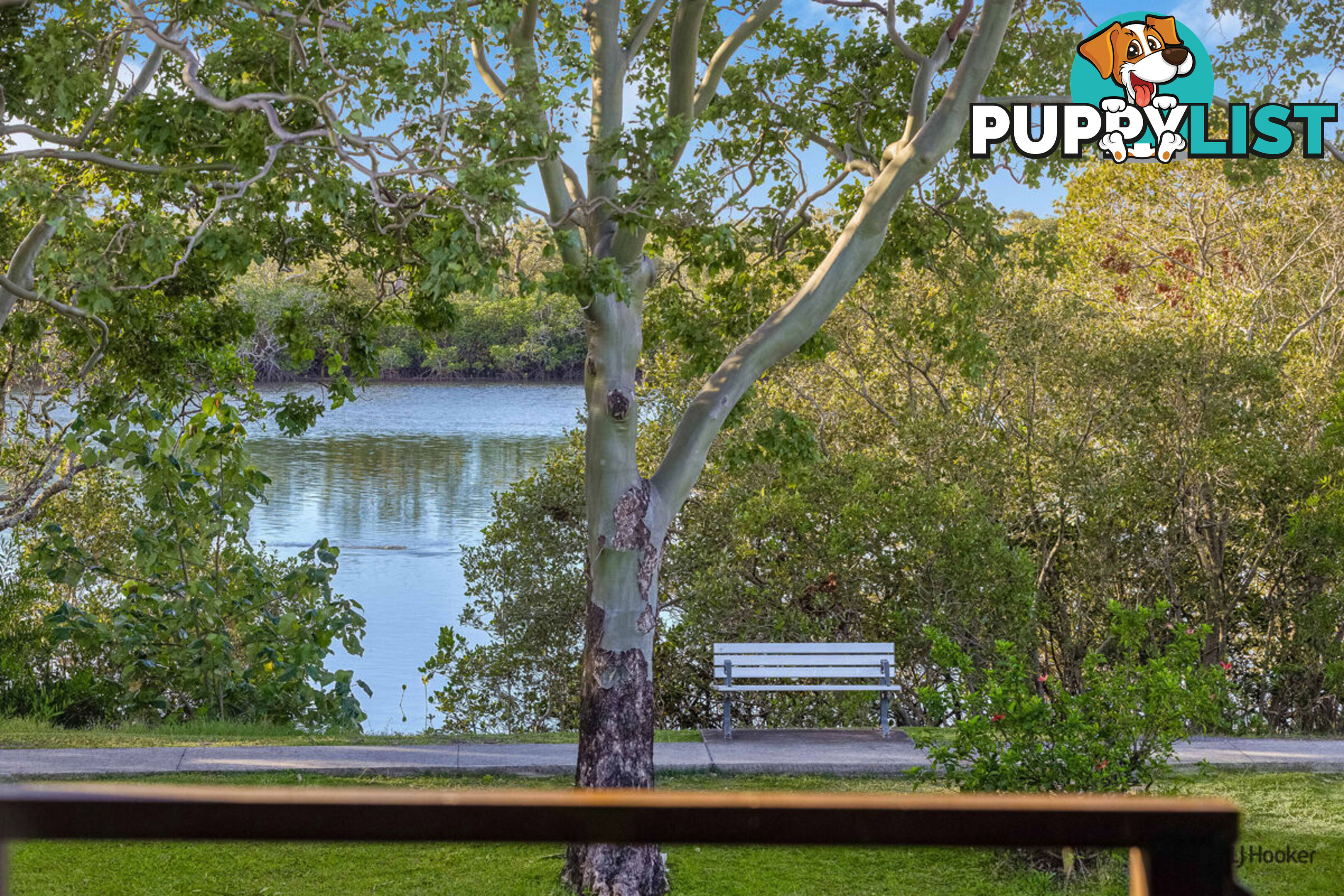 14 Water Street TWEED HEADS SOUTH NSW 2486