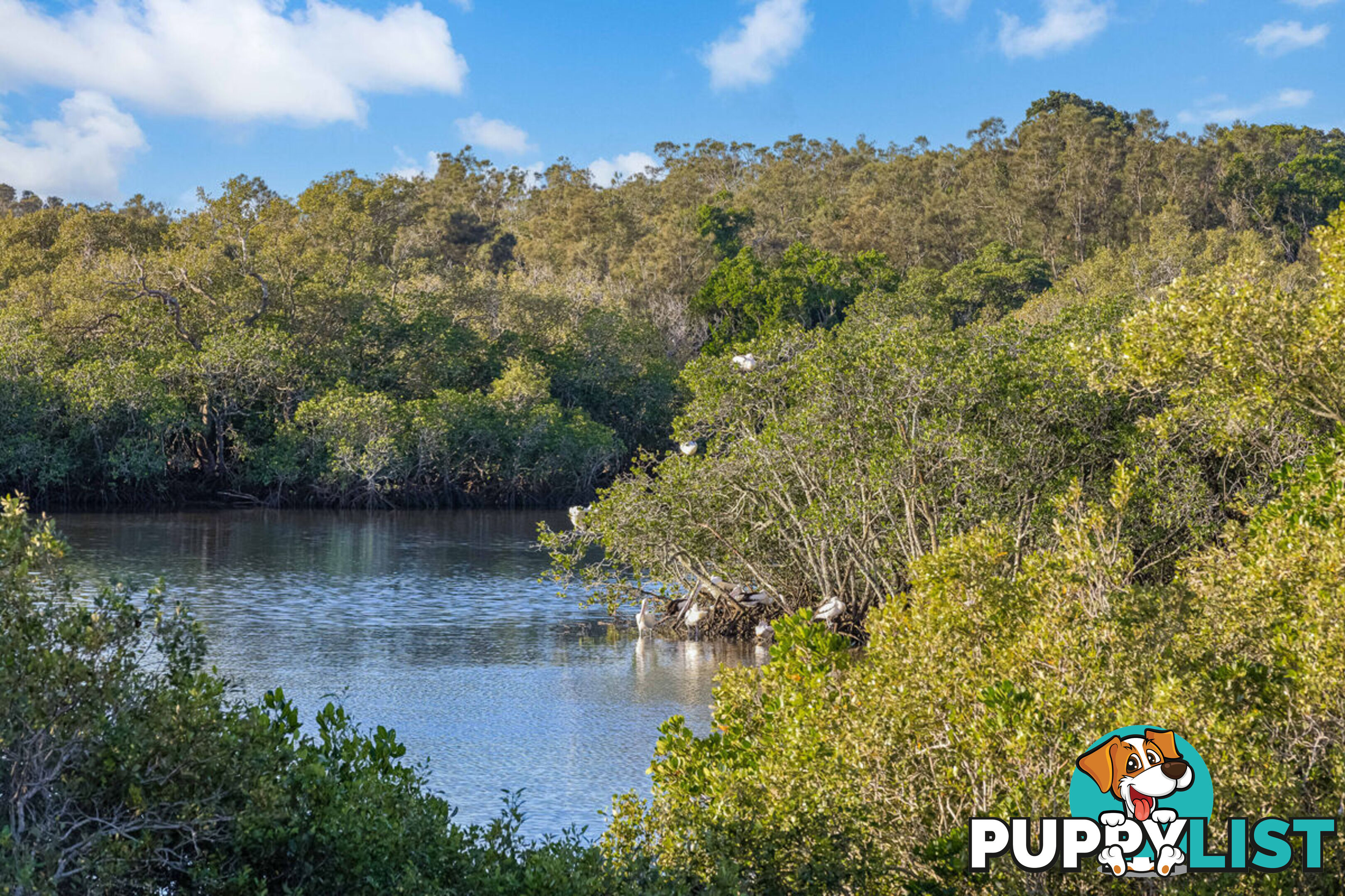 14 Water Street TWEED HEADS SOUTH NSW 2486