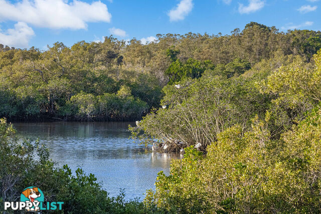 14 Water Street TWEED HEADS SOUTH NSW 2486
