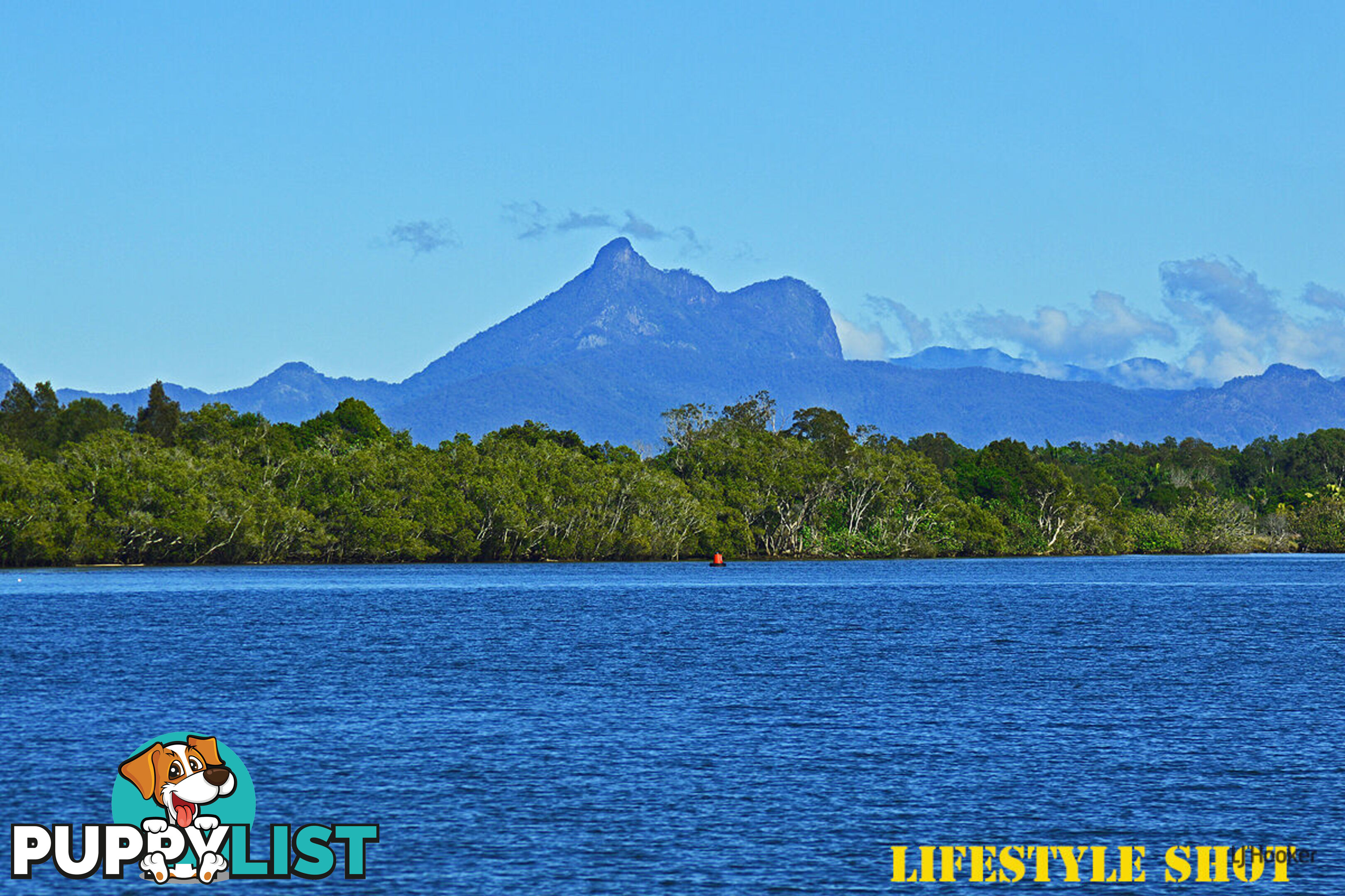 1/8 Galway Court BANORA POINT NSW 2486
