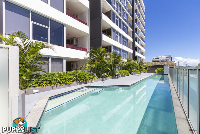 311/37 Bay Street TWEED HEADS NSW 2485