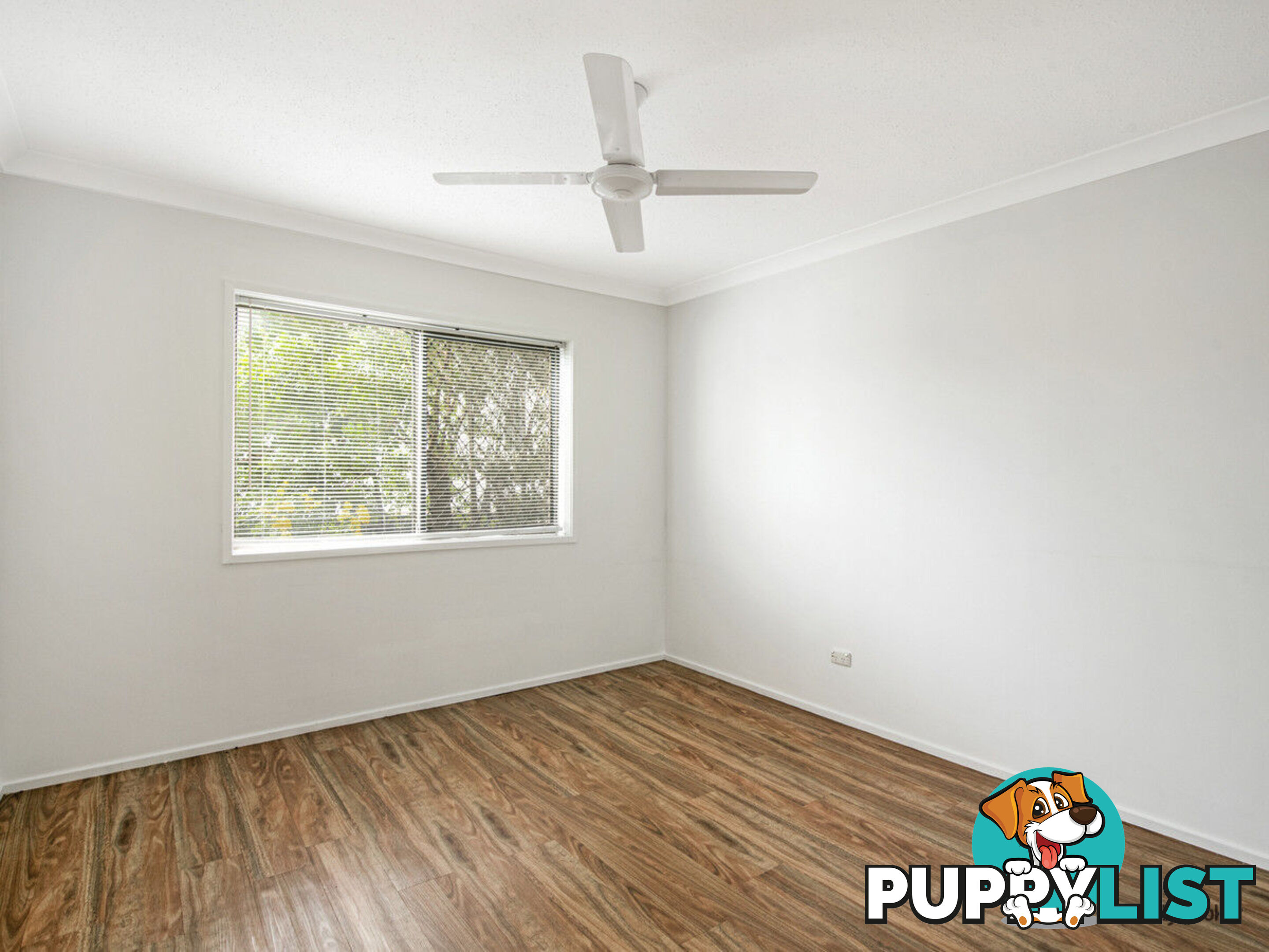 6/57 Dixon Street COOLANGATTA QLD 4225