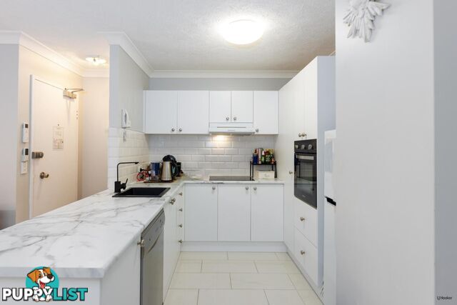 6/27-29 Dutton Street COOLANGATTA QLD 4225