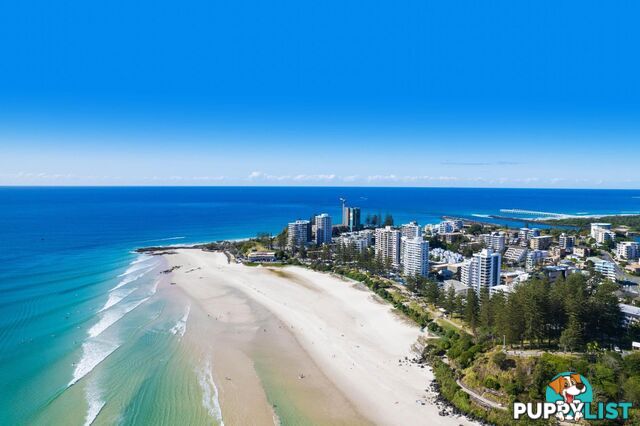 6/27-29 Dutton Street COOLANGATTA QLD 4225