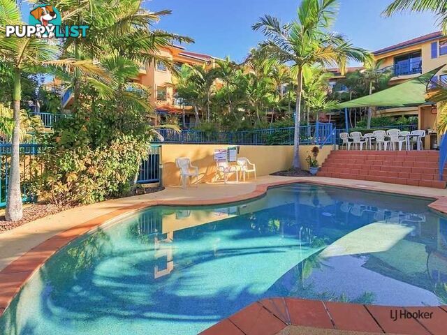 6/27-29 Dutton Street COOLANGATTA QLD 4225