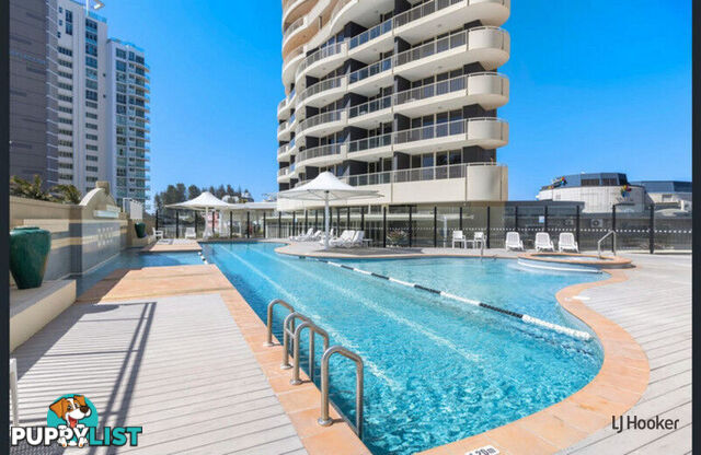 539 & 540/6-8 Stuart Street TWEED HEADS NSW 2485