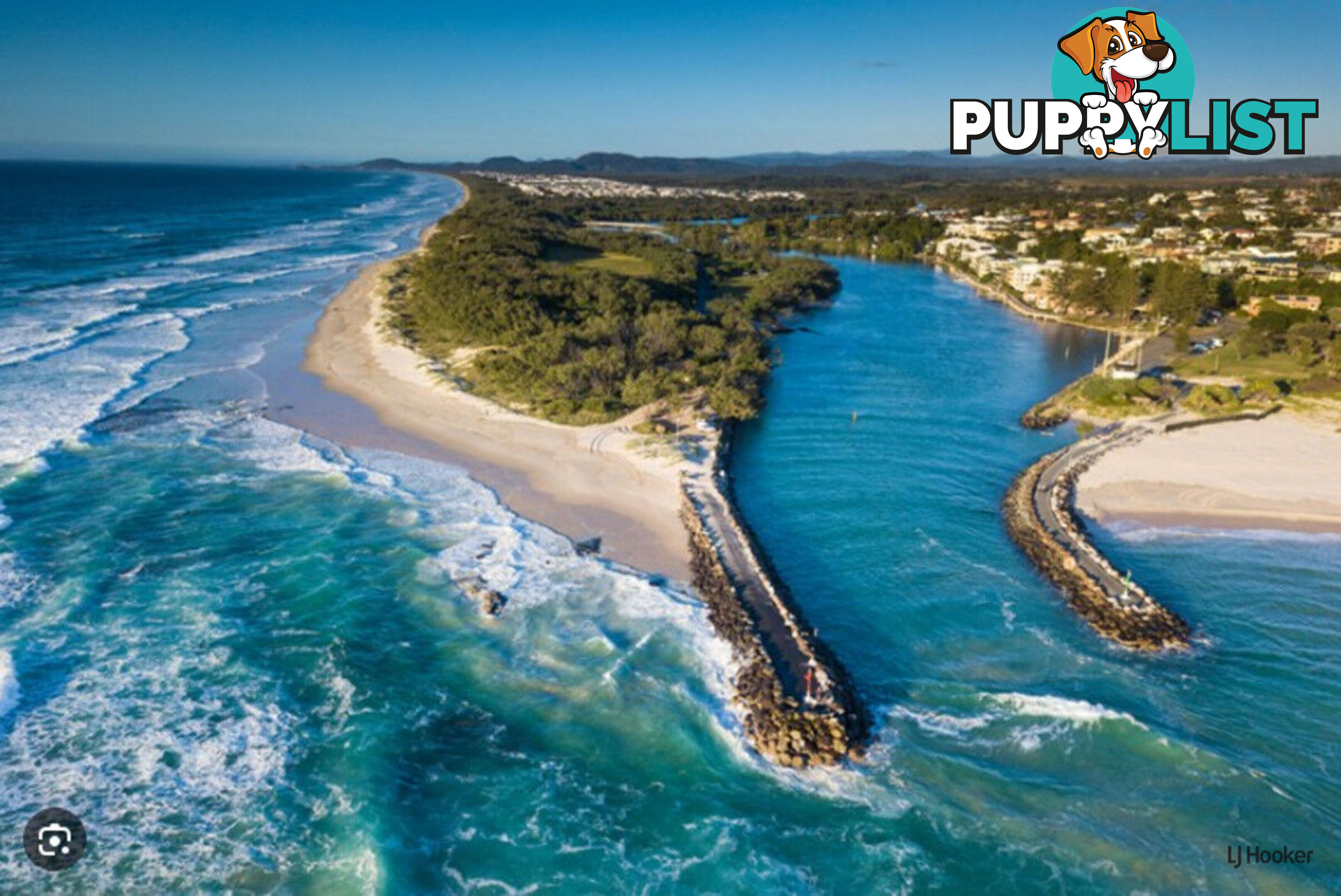 81 Bowen Loop CUDGEN NSW 2487