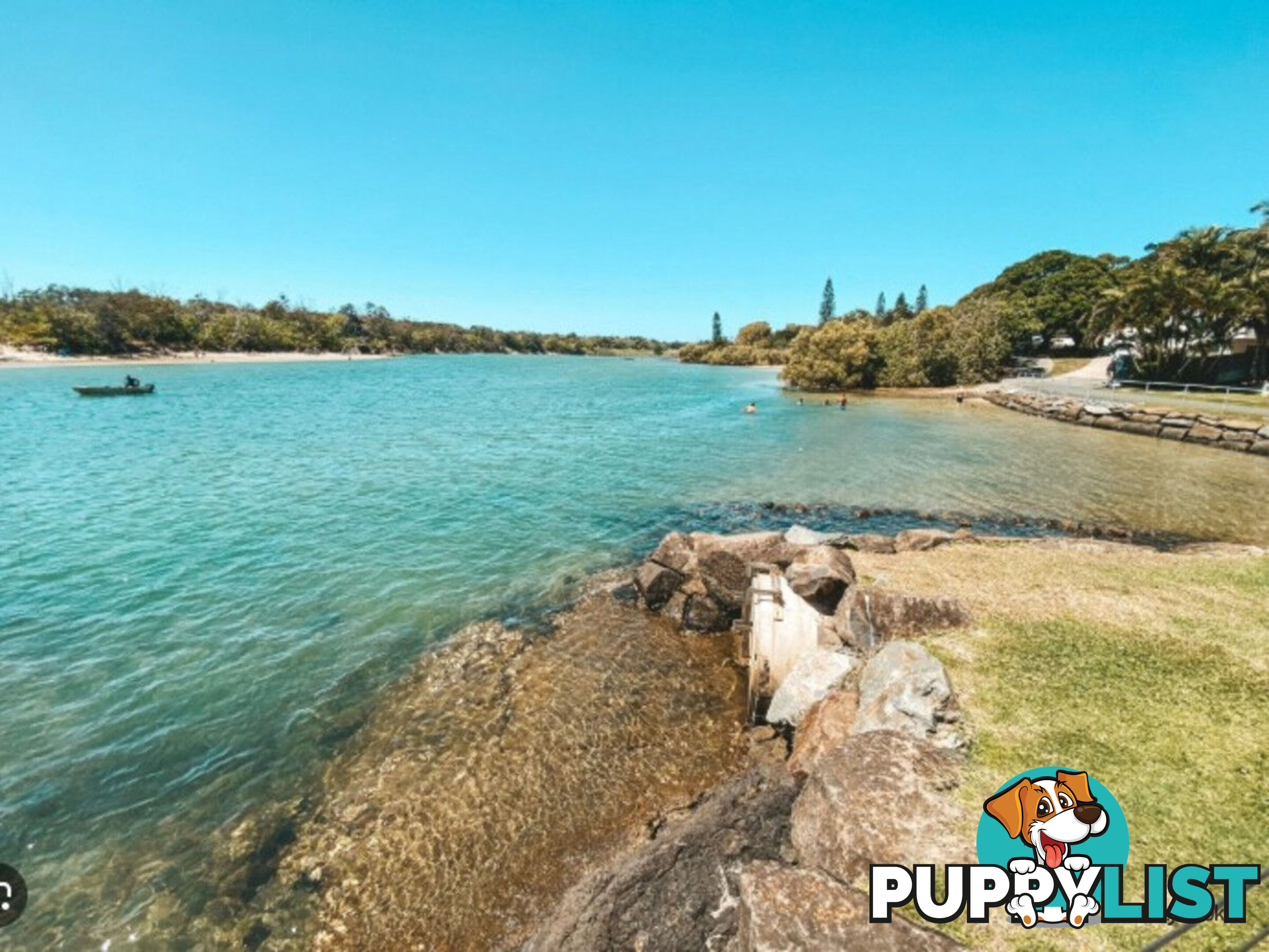 81 Bowen Loop CUDGEN NSW 2487