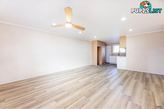 5/16 Coyne Street COOLANGATTA QLD 4225