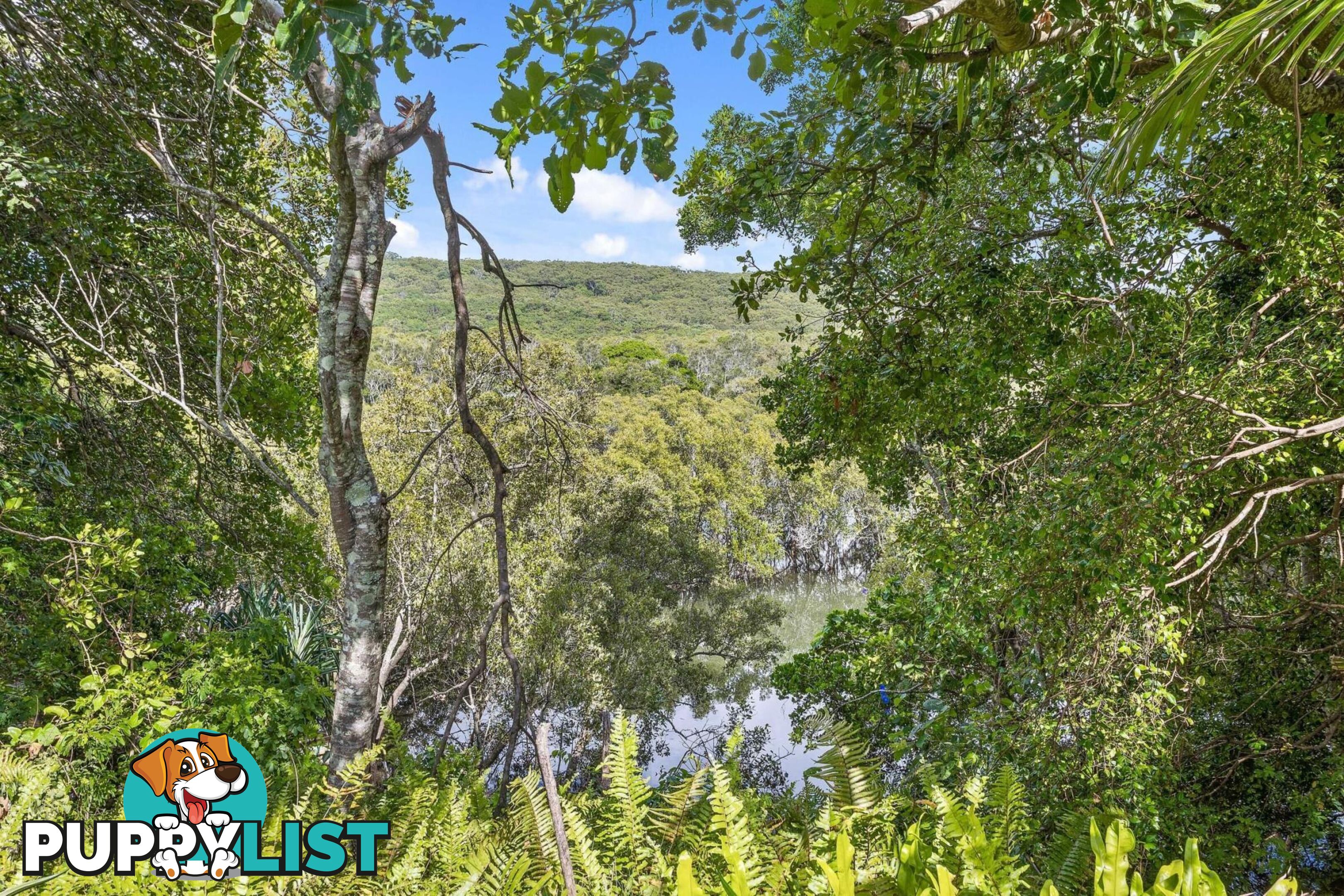 2/57 Tweed Coast Road HASTINGS POINT NSW 2489