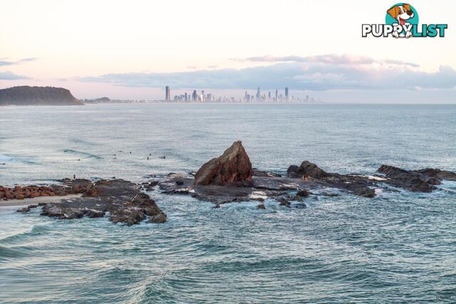 2/738 Pacific Parade CURRUMBIN QLD 4223