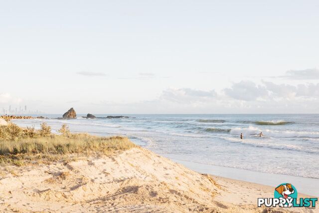 2/738 Pacific Parade CURRUMBIN QLD 4223