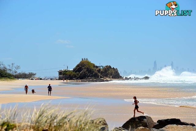 2/738 Pacific Parade CURRUMBIN QLD 4223