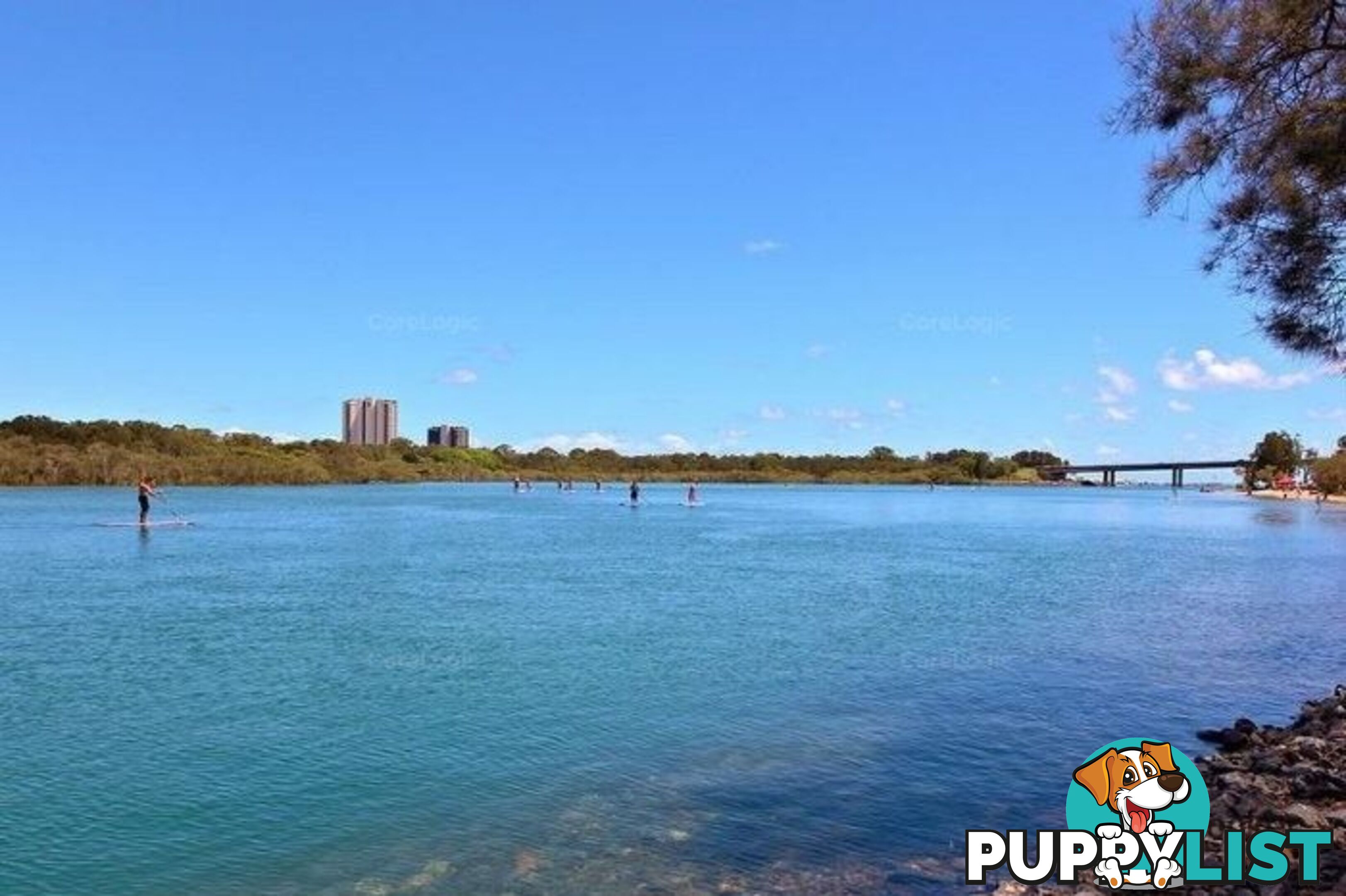 216/3-5 Thrower Drive CURRUMBIN QLD 4223