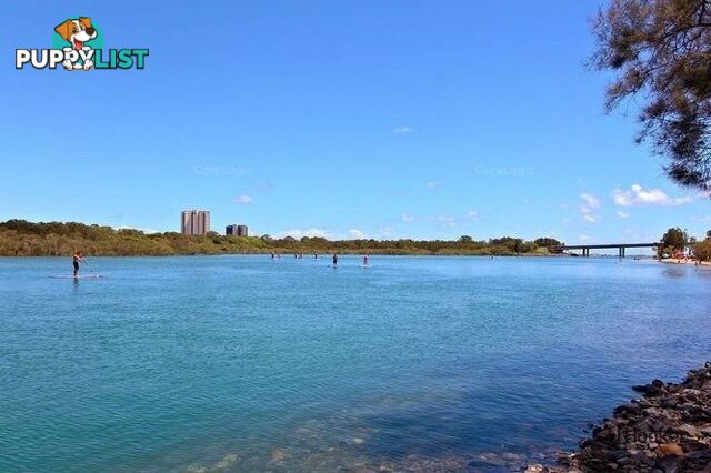 216/3-5 Thrower Drive CURRUMBIN QLD 4223