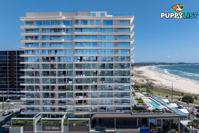 202/4 Miles Street COOLANGATTA QLD 4225