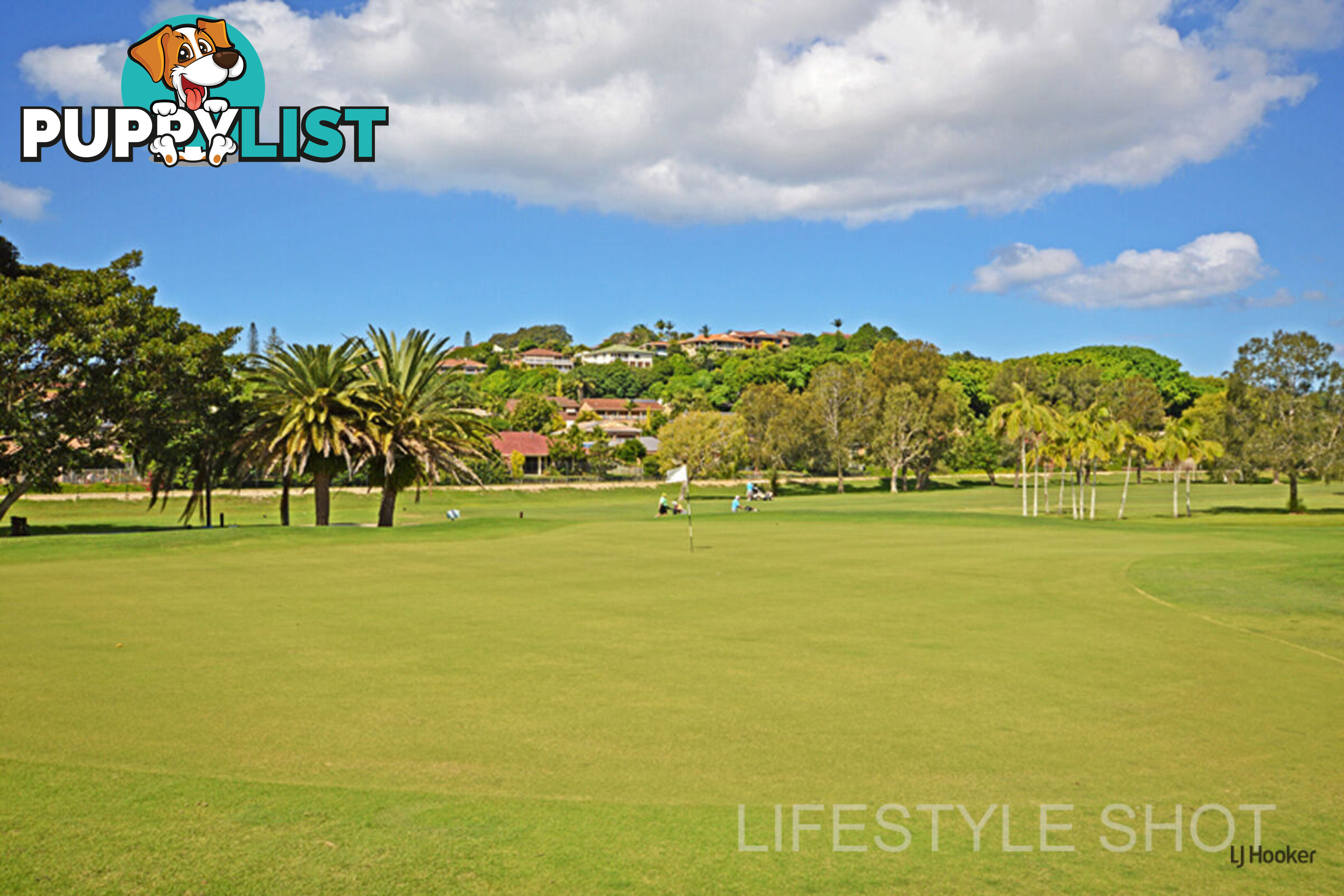 13/7 Advocate Place BANORA POINT NSW 2486