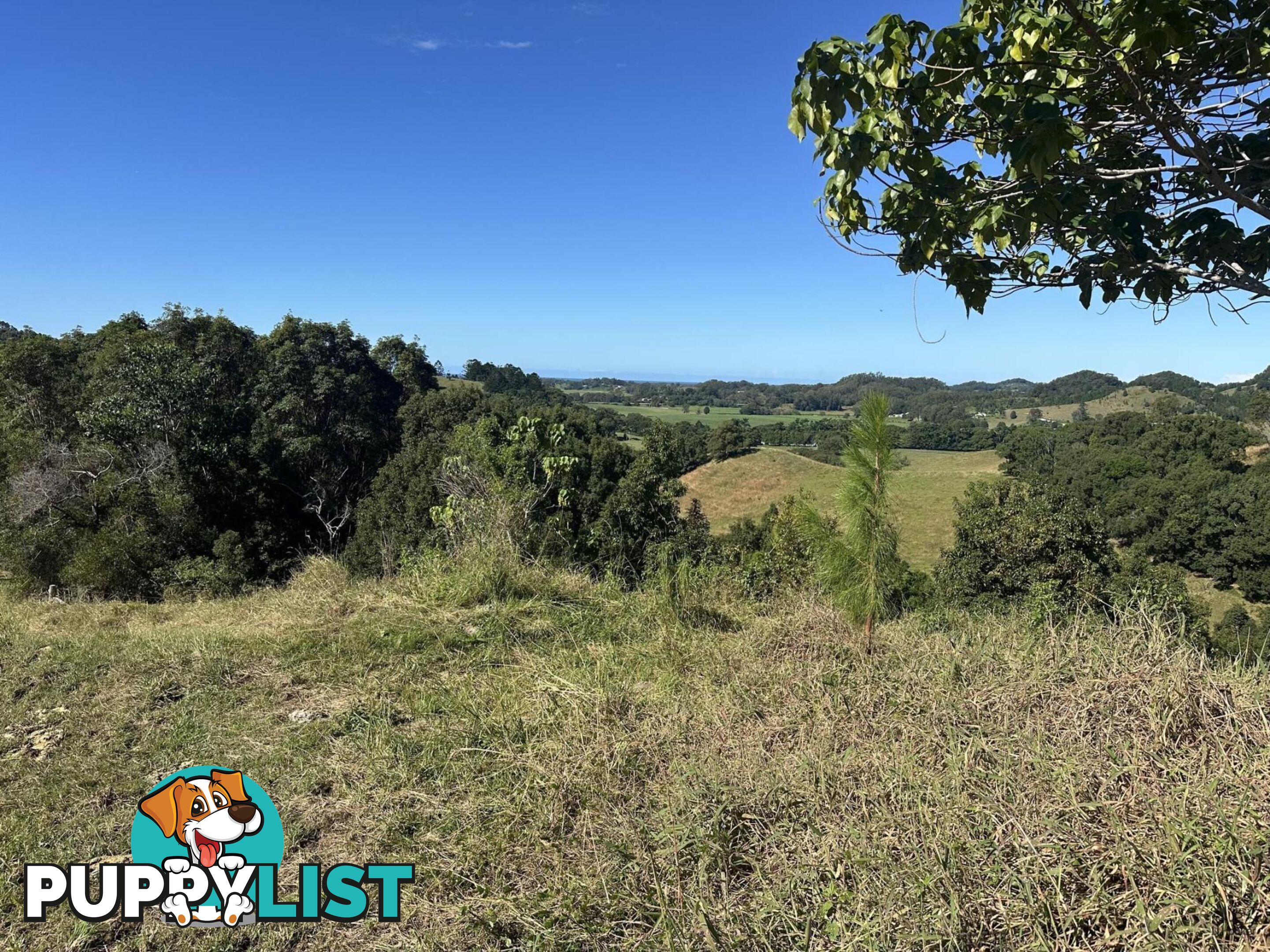 175 Kielys Road MOOBALL NSW 2483